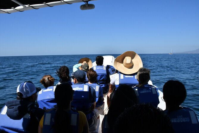 Whale Watching Guaranteed Experience in Puerto Vallarta - What you may see on the water