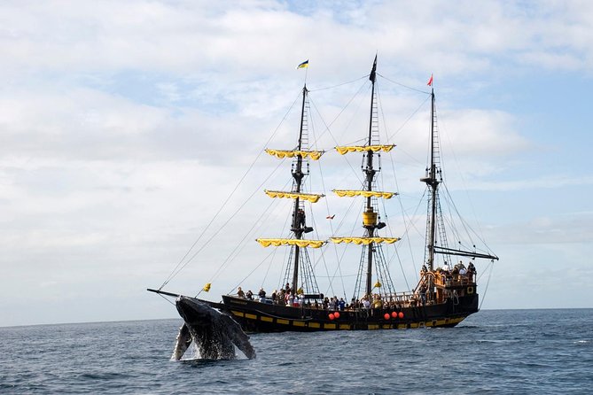 Whale-Watching Pirate Ship Cruise in Los Cabos - Setting sail from Cabo Marina at 9 a.m.