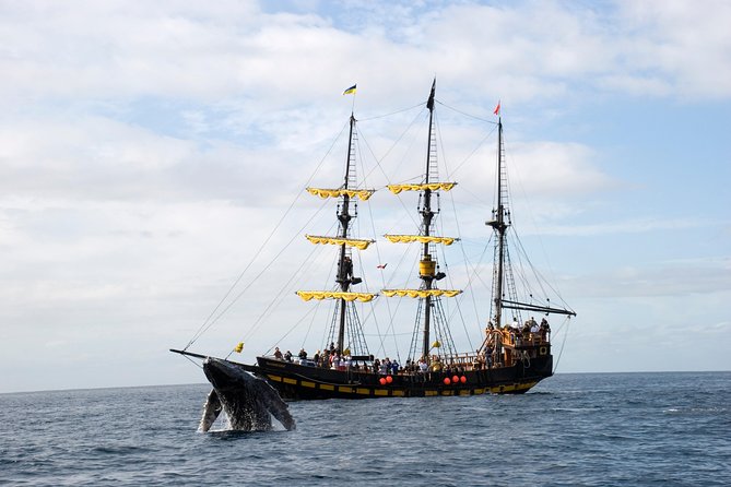 Whale-Watching Pirate Ship Cruise in Los Cabos - The open bar and pirate entertainment