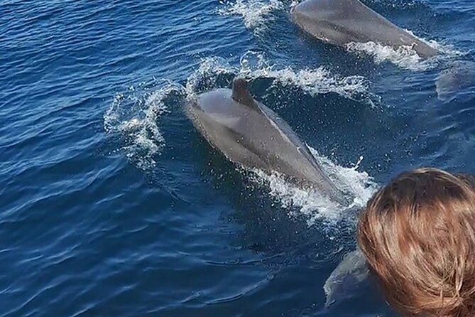 Wild Dolphin Encounter & Snorkeling Adventure - Finding dolphins in the Pacific