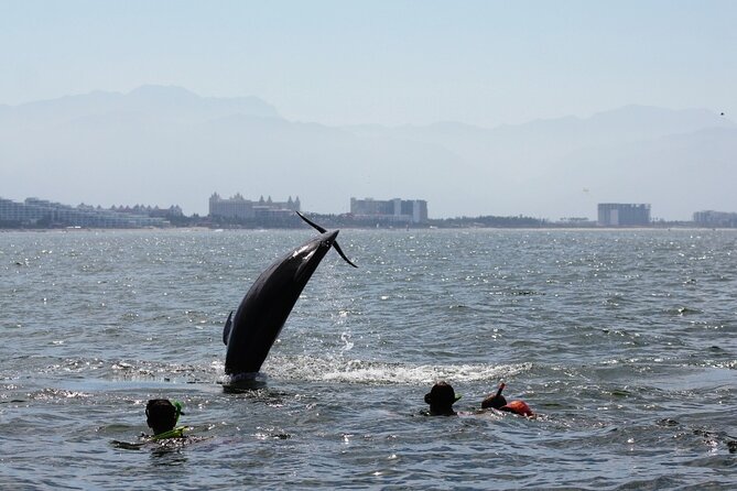 Wild Dolphin Encounter & Snorkeling Adventure - Snorkeling at Los Arcos de Mismaloya