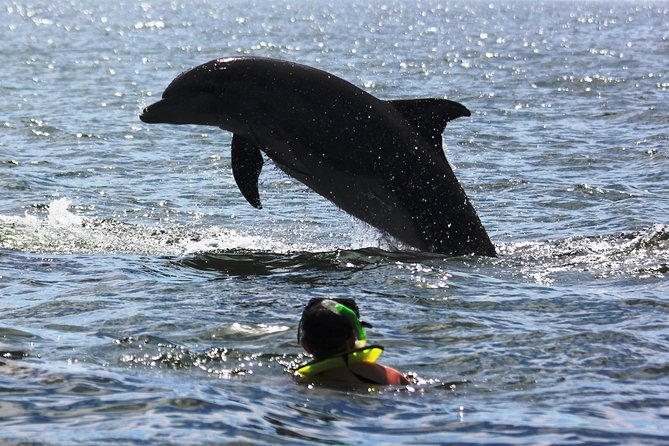 Wild Dolphin Encounter & Snorkeling Adventure - What you eat and drink on the boat