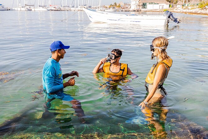 With Turtles, Shipwreck, Cenote, and Reef and Transport Included - What this Cancun snorkel tour actually offers