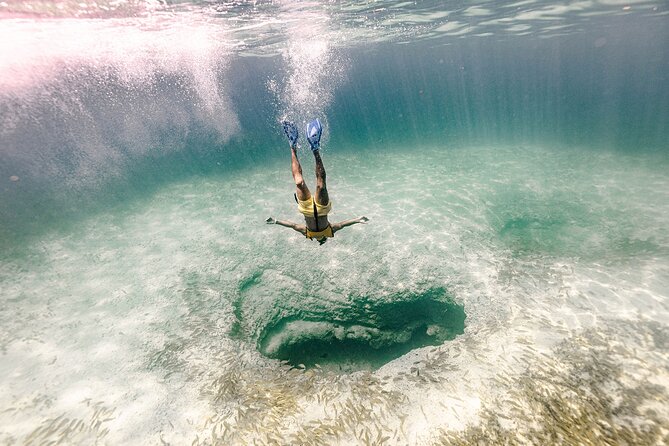 With Turtles, Shipwreck, Cenote, and Reef and Transport Included - Sea turtles and reef life