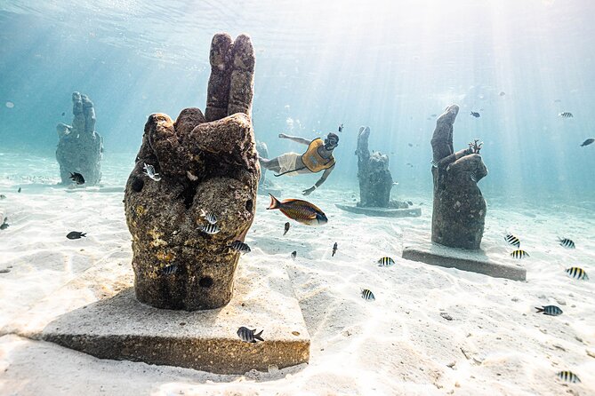 With Turtles, Shipwreck, Cenote, and Reef and Transport Included - Why the small group matters