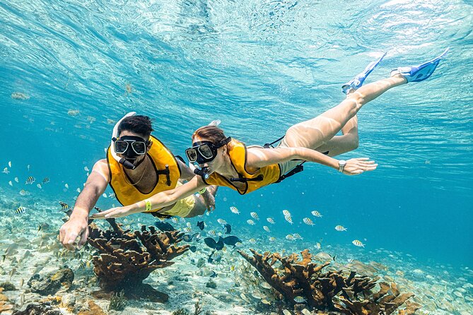 With Turtles, Shipwreck, Cenote, and Reef and Transport Included - What to bring, and what to leave behind