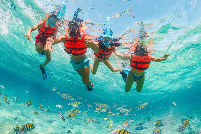 Xcaret Park Day Trip, transportation and Cultural Night Show - The Underground Rivers and Natural Pools
