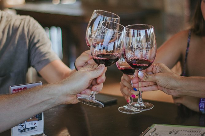 Xecue Wine Tasting in the Guadalupe Valley - Five wines, five ways to read the estate