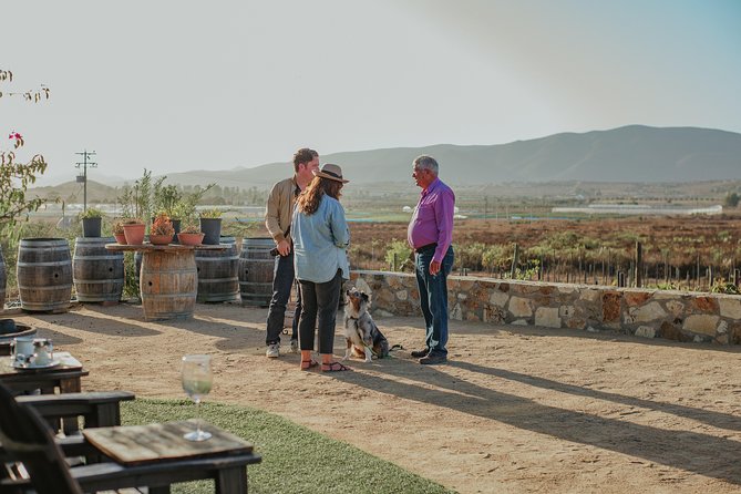 Xecue Wine Tasting in the Guadalupe Valley - The outdoor tasting room and views