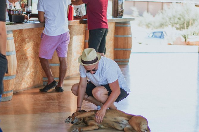 Xecue Wine Tasting in the Guadalupe Valley - Food pairings and the sample menu