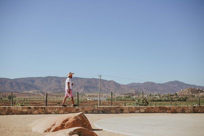 Xecue Wine Tasting in the Guadalupe Valley - Service, attention, and the pace of the visit