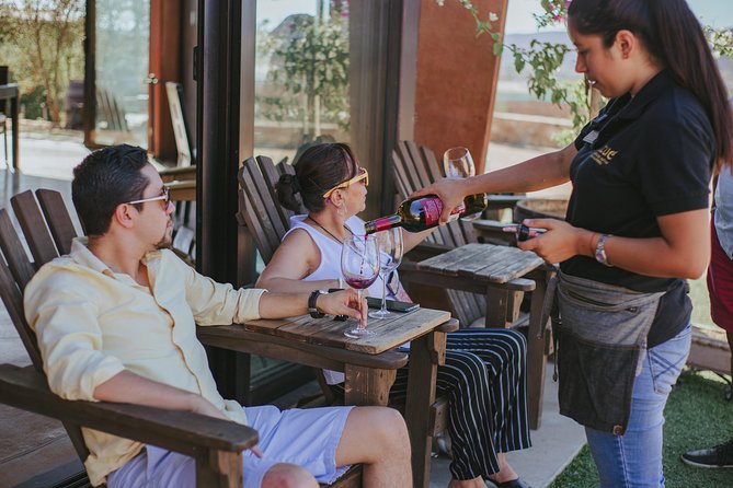 Xecue Wine Tasting in the Guadalupe Valley - What the one-hour format means for you