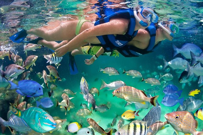 Xel ha All Inclusive - Key things to know before you go