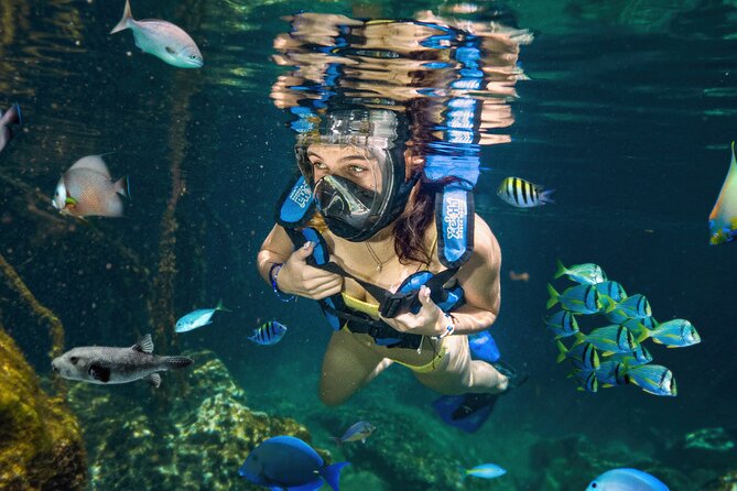 Xel-Ha Tickets with Transportation included - Getting from Cancun to the park