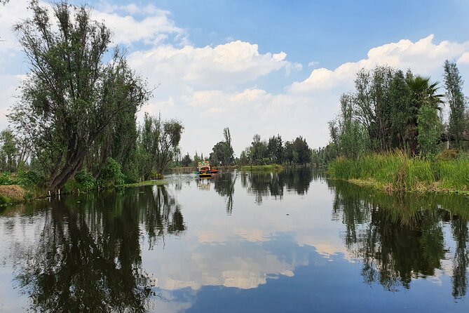 Xochimilco Barco Fiesta Tentacion 18+ with Open Bar and Tacos - Who should book this party boat?