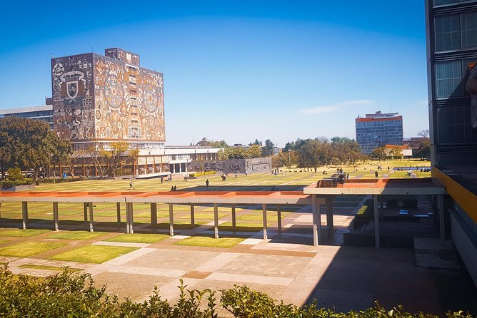 Xochimilco, Coyoacan, Aztec Stadium & UNAM - The real pace: seven hours, with plenty of driving