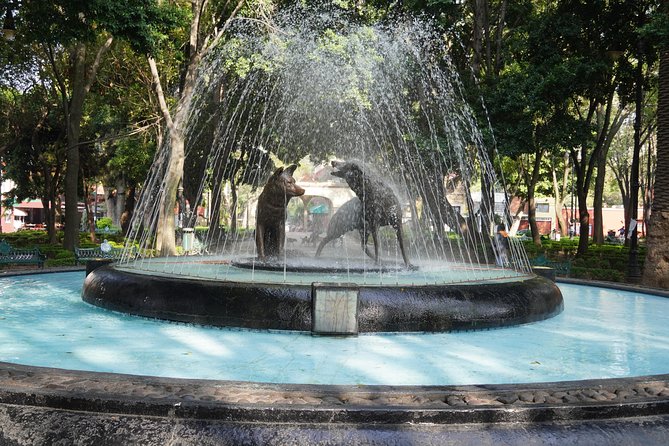Xochimilco & Coyoacan with Frida Kahlo Private Tour - Ciudad Universitaria and the murals