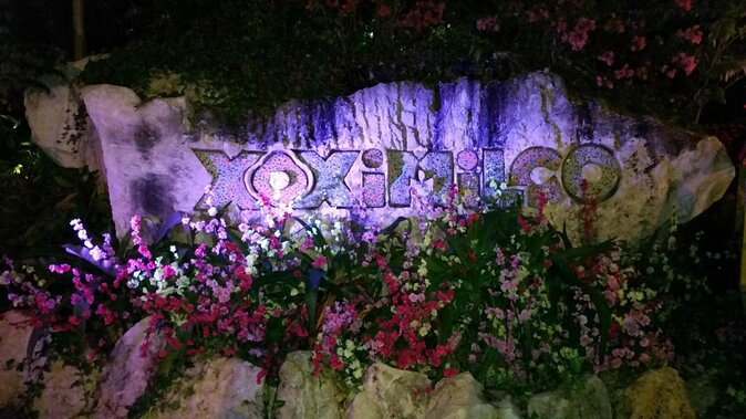 Xoximilco Ticket: Boat Fiesta, Traditional Tasting & Tequila Bar - What You Actually Eat: A Mexican Tasting, Not Fine Dining