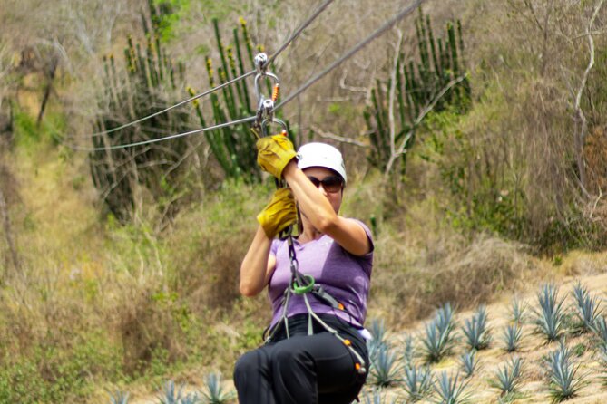 Ziplines and mezcal tasting - Snacks at the right moment