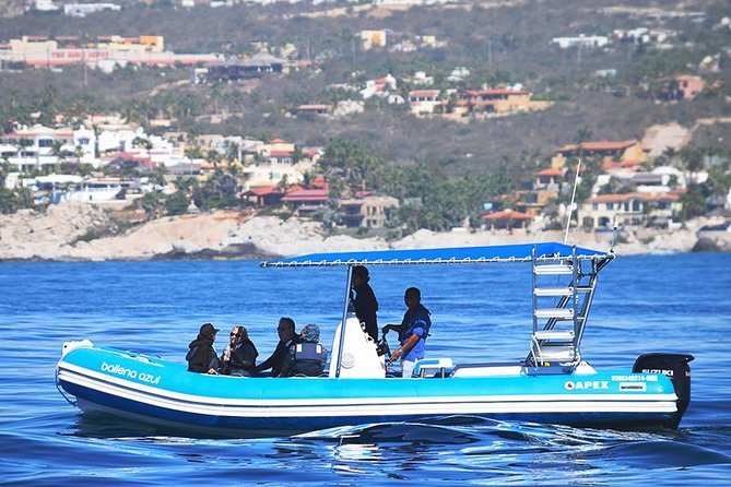 ZODIAC Whale Watch Tour | Cabo San Lucas | Biologist | FREE Pics - Starting at the Cabo marina